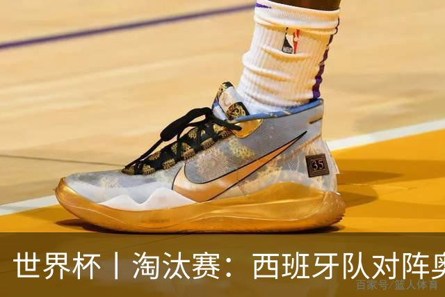 世界杯丨淘汰赛：西班牙队对阵奥地利队